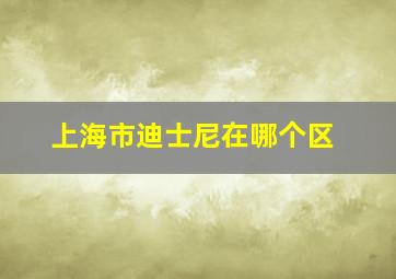 上海市迪士尼在哪个区