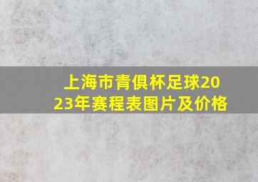 上海市青俱杯足球2023年赛程表图片及价格