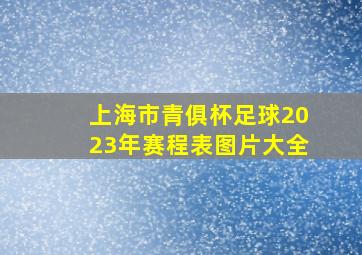 上海市青俱杯足球2023年赛程表图片大全