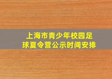 上海市青少年校园足球夏令营公示时间安排