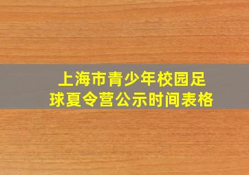 上海市青少年校园足球夏令营公示时间表格