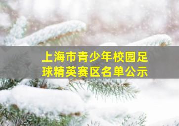 上海市青少年校园足球精英赛区名单公示