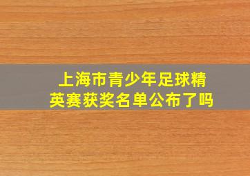 上海市青少年足球精英赛获奖名单公布了吗