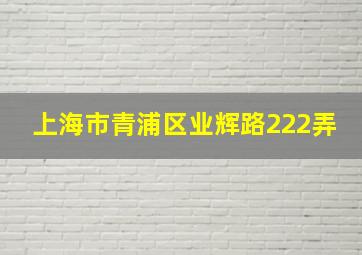 上海市青浦区业辉路222弄