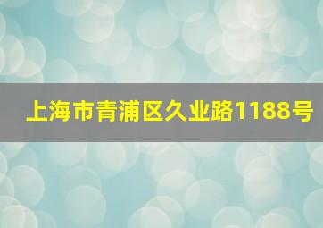 上海市青浦区久业路1188号