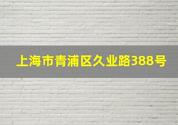 上海市青浦区久业路388号