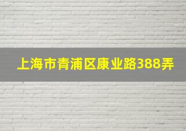 上海市青浦区康业路388弄