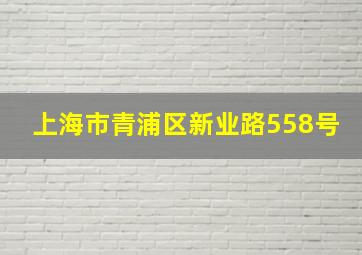 上海市青浦区新业路558号