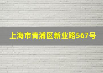 上海市青浦区新业路567号