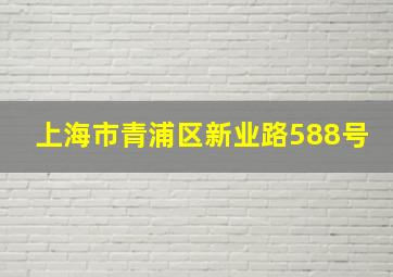 上海市青浦区新业路588号