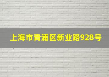 上海市青浦区新业路928号