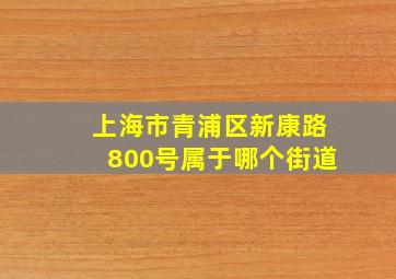 上海市青浦区新康路800号属于哪个街道