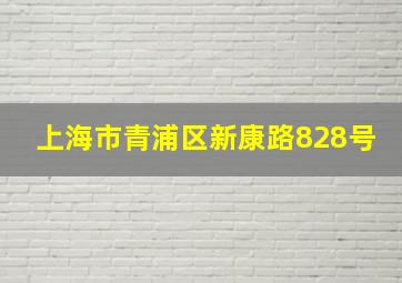 上海市青浦区新康路828号