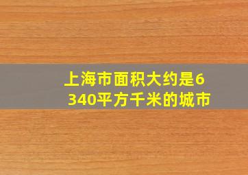 上海市面积大约是6340平方千米的城市