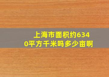 上海市面积约6340平方千米吗多少亩啊