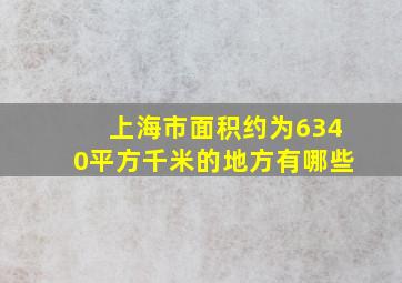 上海市面积约为6340平方千米的地方有哪些