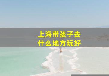 上海带孩子去什么地方玩好