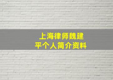 上海律师魏建平个人简介资料