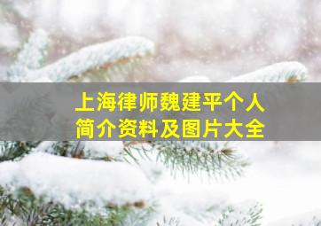 上海律师魏建平个人简介资料及图片大全