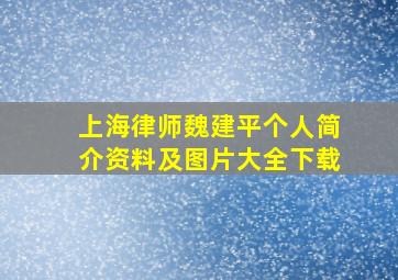 上海律师魏建平个人简介资料及图片大全下载