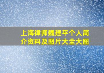 上海律师魏建平个人简介资料及图片大全大图