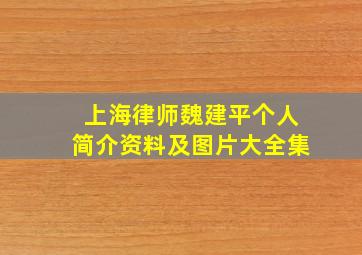 上海律师魏建平个人简介资料及图片大全集