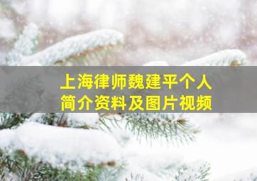 上海律师魏建平个人简介资料及图片视频