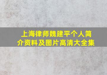 上海律师魏建平个人简介资料及图片高清大全集