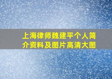 上海律师魏建平个人简介资料及图片高清大图