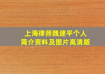 上海律师魏建平个人简介资料及图片高清版