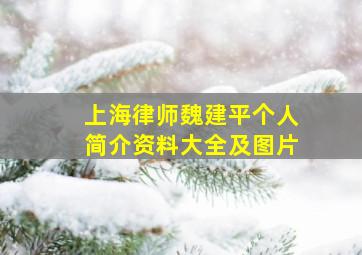 上海律师魏建平个人简介资料大全及图片