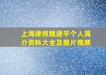 上海律师魏建平个人简介资料大全及图片视频