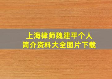 上海律师魏建平个人简介资料大全图片下载