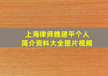 上海律师魏建平个人简介资料大全图片视频