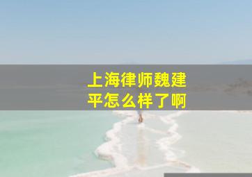 上海律师魏建平怎么样了啊