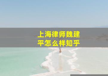 上海律师魏建平怎么样知乎