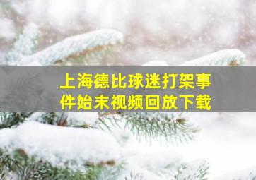 上海德比球迷打架事件始末视频回放下载