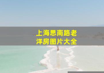 上海思南路老洋房图片大全