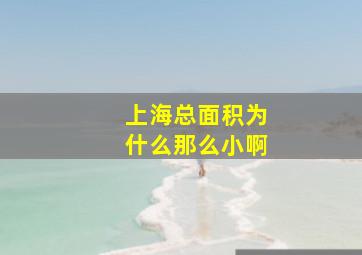 上海总面积为什么那么小啊