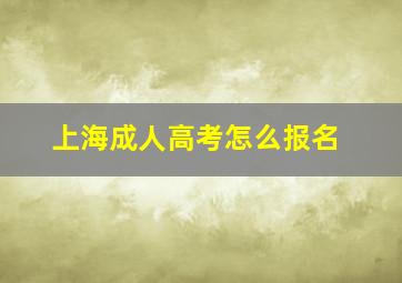 上海成人高考怎么报名