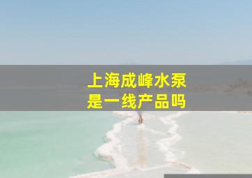 上海成峰水泵是一线产品吗