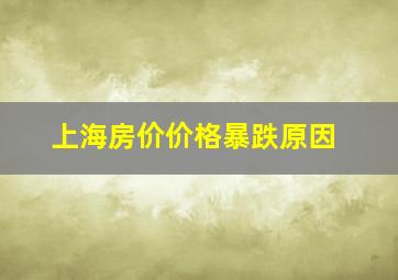 上海房价价格暴跌原因