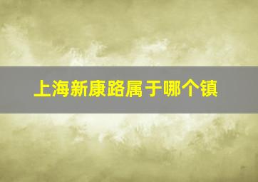 上海新康路属于哪个镇