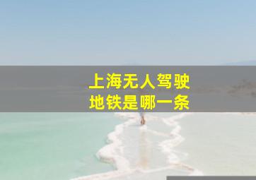 上海无人驾驶地铁是哪一条