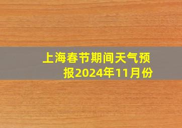 上海春节期间天气预报2024年11月份