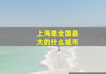 上海是全国最大的什么城市