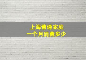 上海普通家庭一个月消费多少