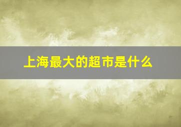 上海最大的超市是什么