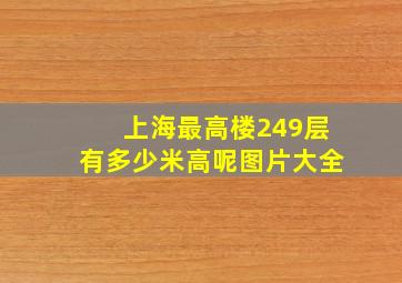 上海最高楼249层有多少米高呢图片大全