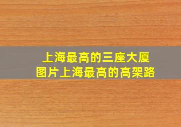 上海最高的三座大厦图片上海最高的高架路